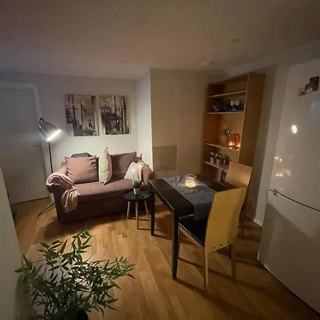 Bingoapartments Honefoss 赫讷福斯